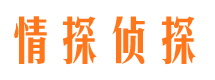 云县外遇出轨调查取证